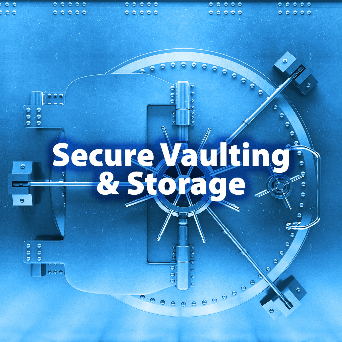 Secure Vaulting and Storage